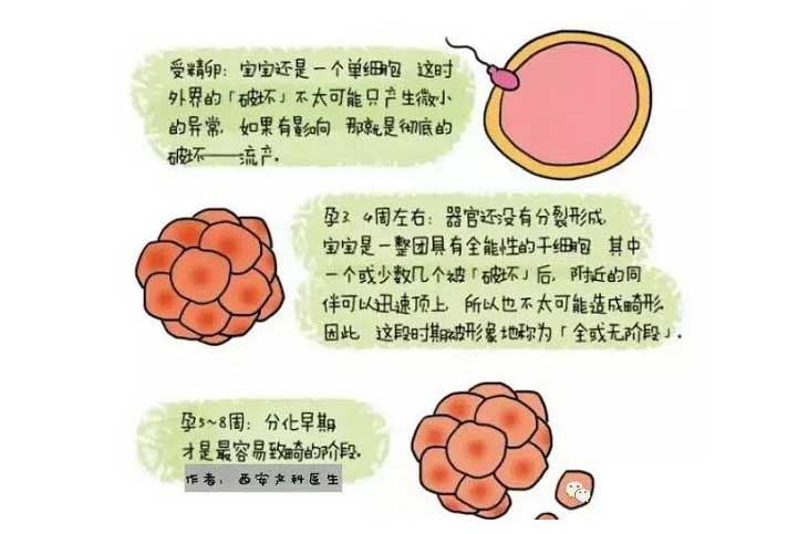 合理备孕避免流产