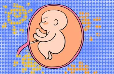 河南上海试管婴儿移植几个胚胎好？
