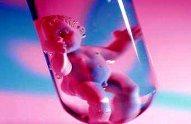 河南广东广州做试管婴儿，哪些因素影响胚胎质量？