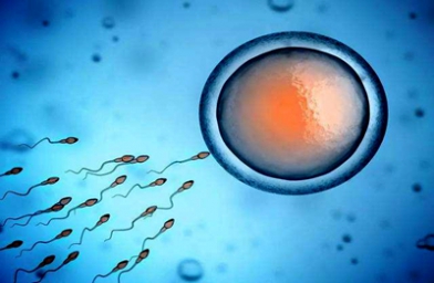 河南浙江杭州做试管婴儿怎么才能得到A级囊胚？