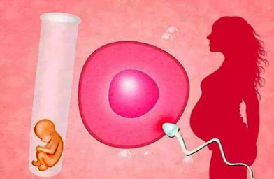 河南成都卵巢早衰女性如何做试管？